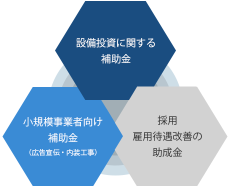 設備投資に関する補助金 小規模事業者向け補助金（広告宣伝・内装工事）採用
雇用待遇改善の助成金