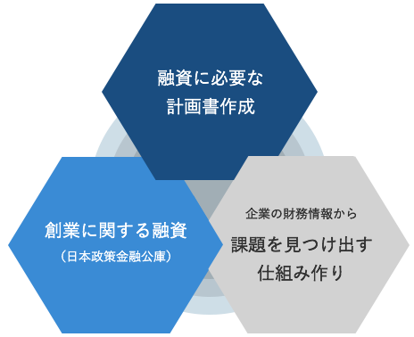 融資に必要な計画書作成 創業に関する融資（日本政策金融公庫）企業の財務情報から課題を見つけ出す仕組み作り